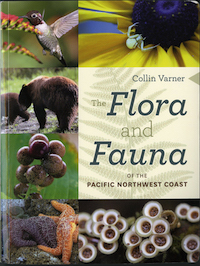 Flora and Fauna of the Pacific Northwest Coast