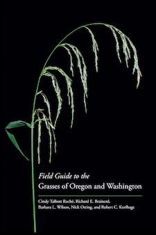 field guide to grasses